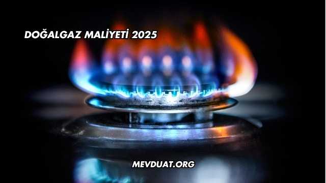 Doğalgaz Maliyeti 2025