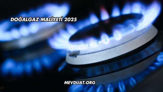 Doğalgaz Maliyeti 2025