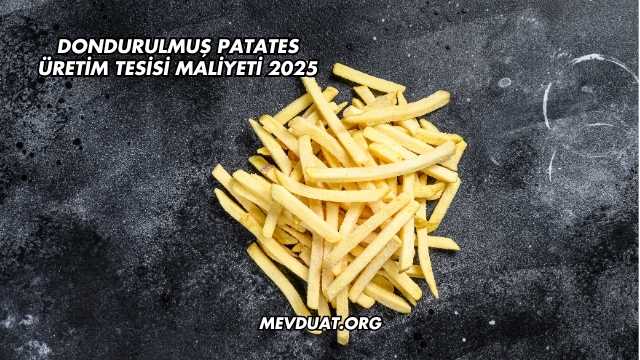 Dondurulmuş Patates Üretim Tesisi Maliyeti 2025