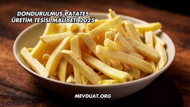 Dondurulmuş Patates Üretim Tesisi Maliyeti 2025
