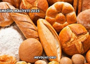 Ekmeğin Maliyeti 2025