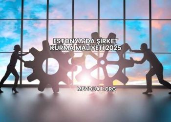 Estonya’da Şirket Kurma Maliyeti 2025