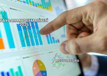 Faydalı Model Maliyeti 2025