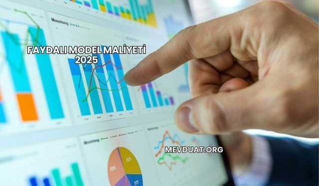 Faydalı Model Maliyeti 2025