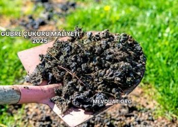 Gübre Çukuru Maliyeti 2025