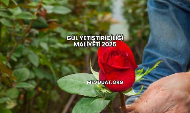 Gül Yetiştiriciliği Maliyeti 2025