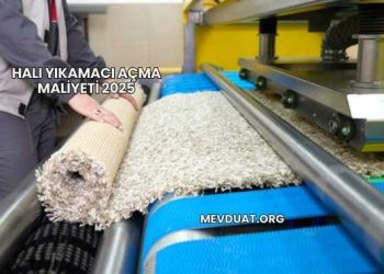 Halı Yıkamacı Açma Maliyeti 2025