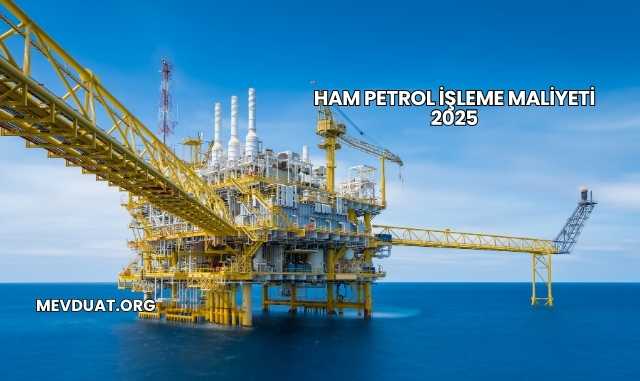 Ham Petrol İşleme Maliyeti 2025