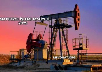 Ham Petrol İşleme Maliyeti 2025