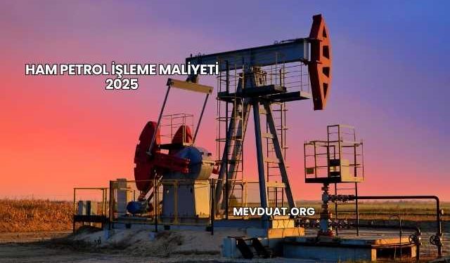 Ham Petrol İşleme Maliyeti 2025