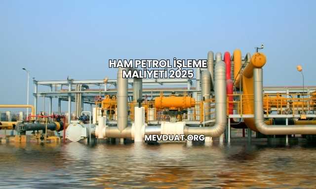 Ham Petrol İşleme Maliyeti 2025