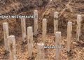 İnşaat İnce İş Maliyeti