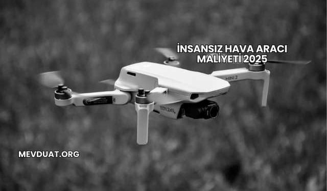 İnsansız Hava Aracı Maliyeti 2025