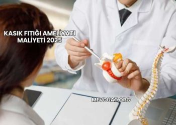 Kasık Fıtığı Ameliyatı Maliyeti 2025