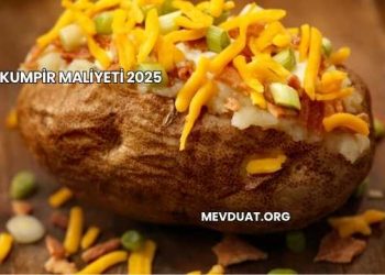 Kumpir maliyeti 2025