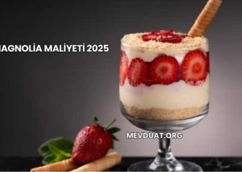 Magnolia Maliyeti 2025