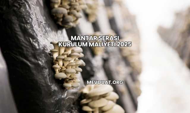 Mantar Serası Kurulum Maliyeti 2025