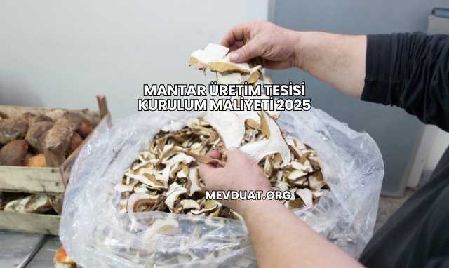 Mantar Üretim Tesisi Kurulum Maliyeti 2025