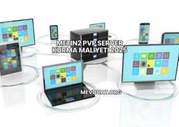 Metin2 PVP Server Kurma Maliyeti 2025