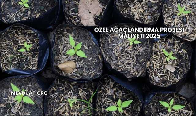 Özel Ağaçlandırma Projesi Maliyeti 2025