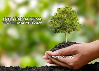 Özel Ağaçlandırma Projesi Maliyeti 2025