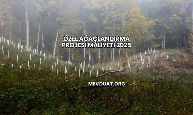 Özel Ağaçlandırma Projesi Maliyeti 2025