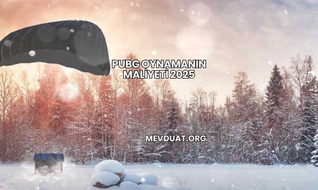 PUBG Oynamanın Maliyeti 2025