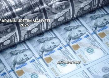 Paranın Üretim Maliyeti 2025