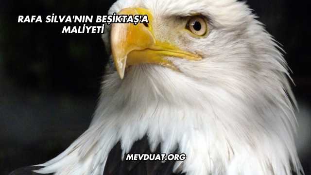 Rafa Silva'nın Beşiktaş'a Maliyeti