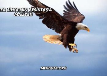 Rafa Silva'nın Beşiktaş'a Maliyeti