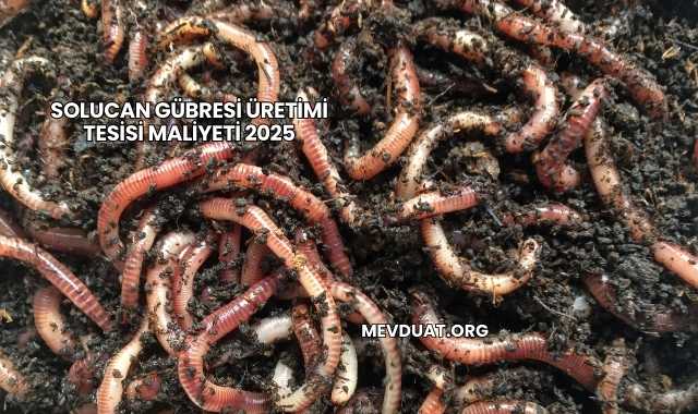 Solucan Gübresi Üretimi Tesisi Maliyeti 2025