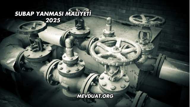 Subap Yanması Maliyeti 2025