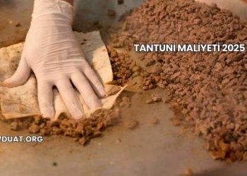 Tantuni Maliyeti 2025