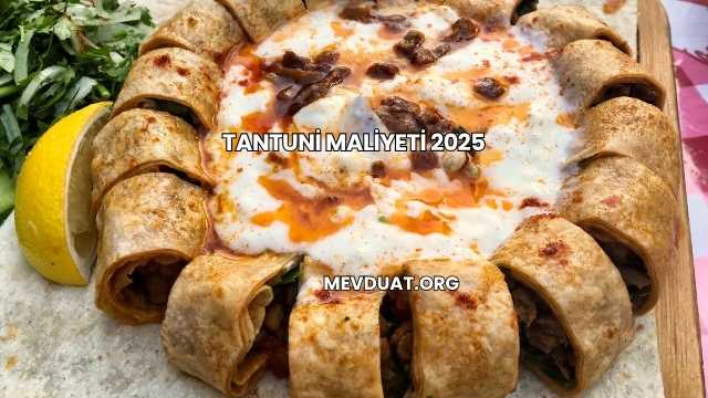 Tantuni Maliyeti 2025