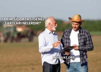 Tarım Sigortası Genel Şartları Nelerdir?