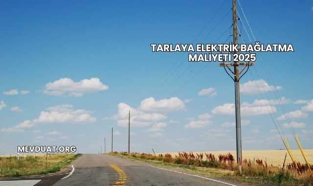 Tarlaya Elektrik Bağlatma Maliyeti 2025