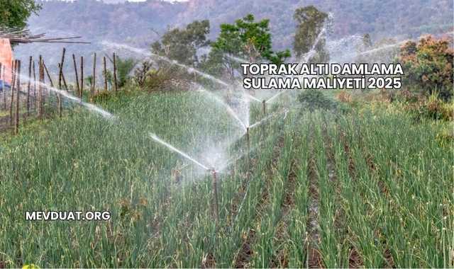 Toprak Altı Damlama Sulama Maliyeti 2025