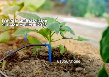 Toprak Altı Damlama Sulama Maliyeti 2025