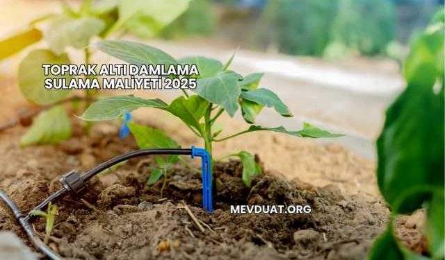 Toprak Altı Damlama Sulama Maliyeti 2025