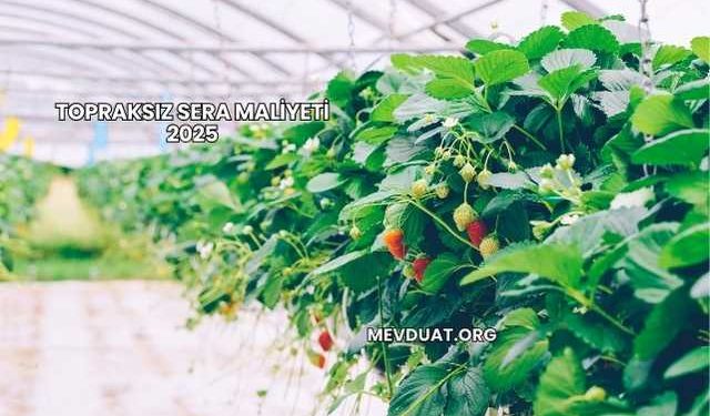 Topraksız Sera Maliyeti 2025