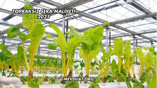 Topraksız Sera Maliyeti 2025