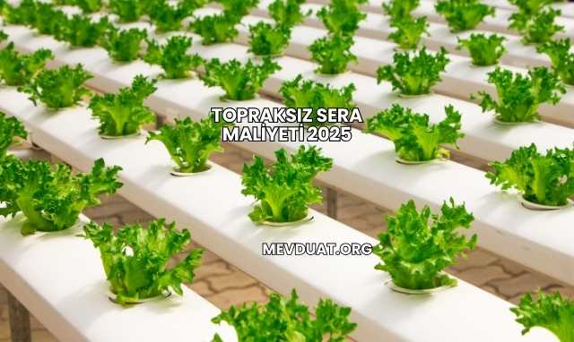 Topraksız Sera Maliyeti 2025