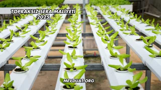 Topraksız Sera Maliyeti 2025
