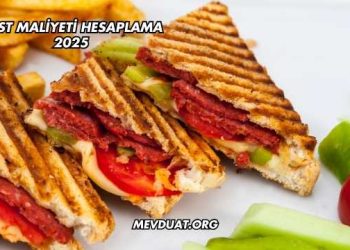 Tost Maliyeti Hesaplama 2025