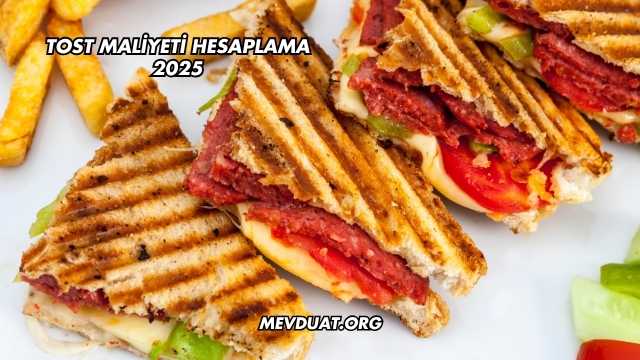 Tost Maliyeti Hesaplama 2025