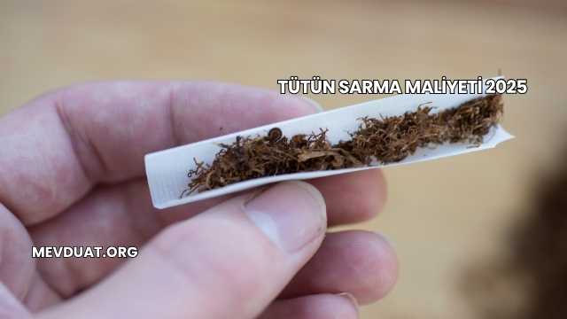 Tütün Sarma Maliyeti 2025