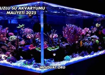 Tuzlu Su Akvaryumu Maliyeti 2025