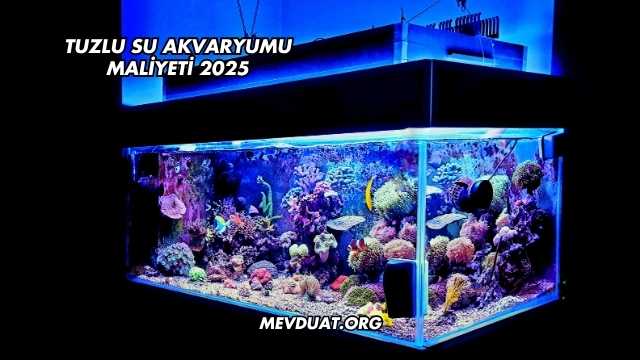 Tuzlu Su Akvaryumu Maliyeti 2025