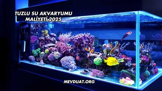 Tuzlu Su Akvaryumu Maliyeti 2025