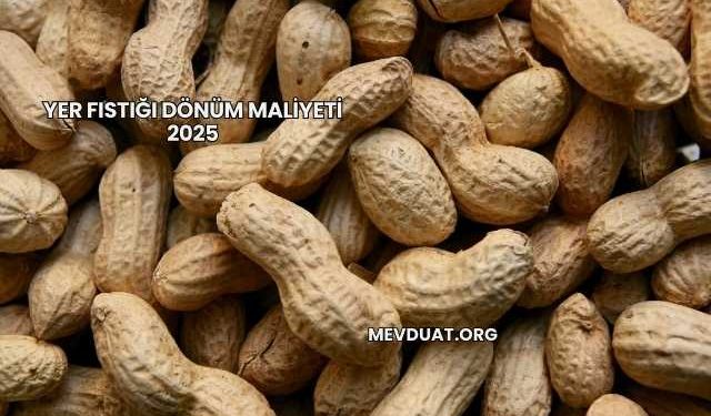 Yer Fıstığı Dönüm Maliyeti 2025